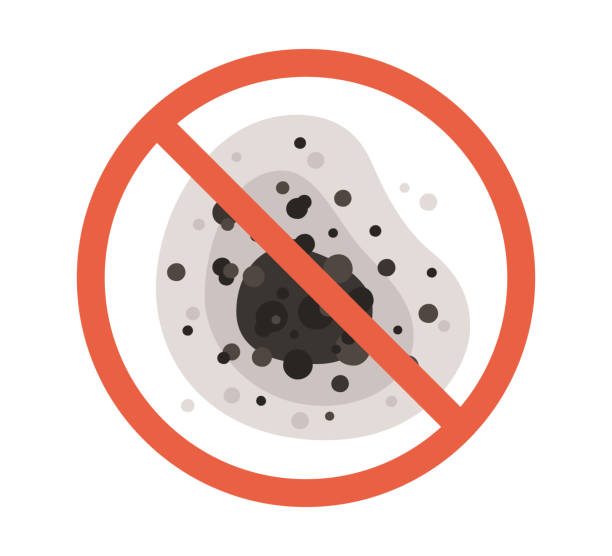 Best Mold Documentation for Insurance Claims  in Louisburg, NC